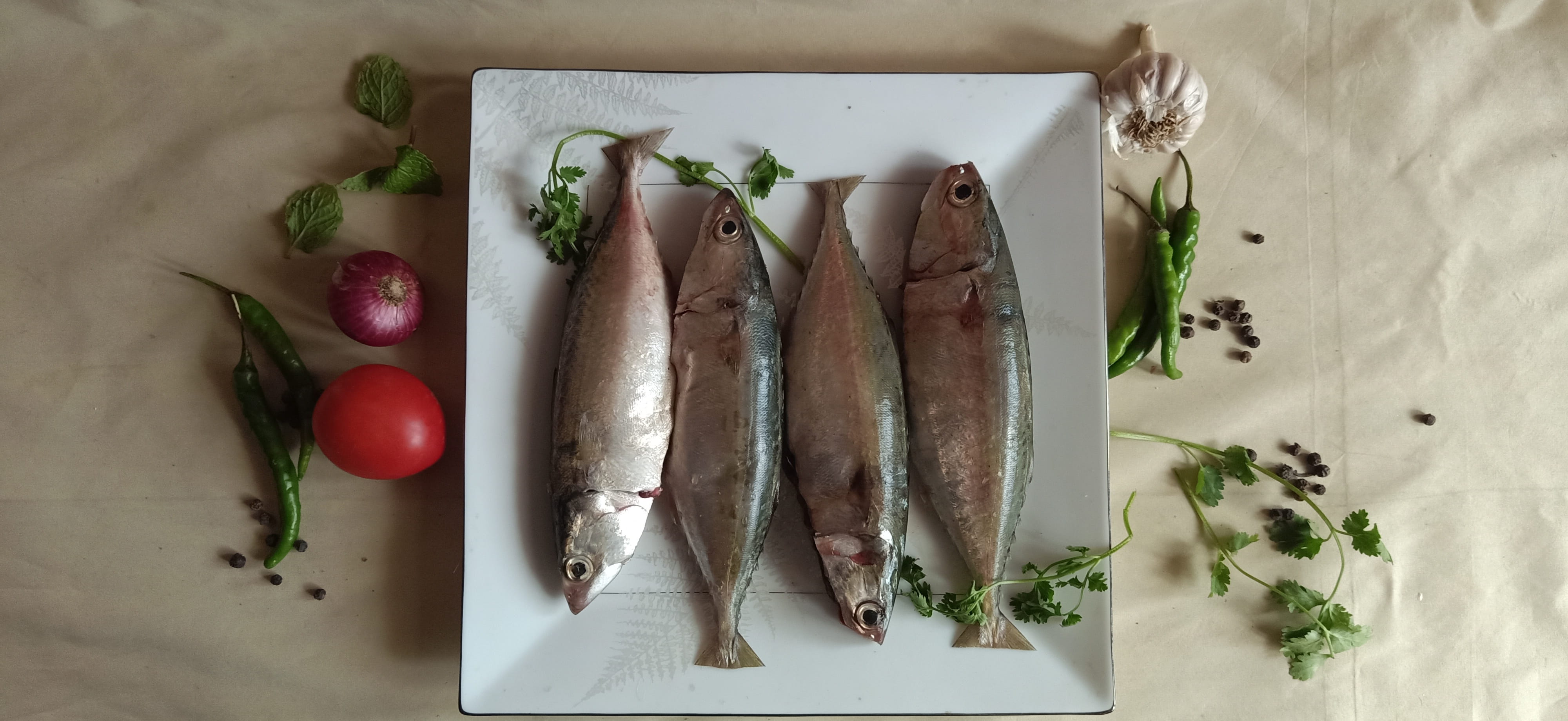 Mackerel / Ayala