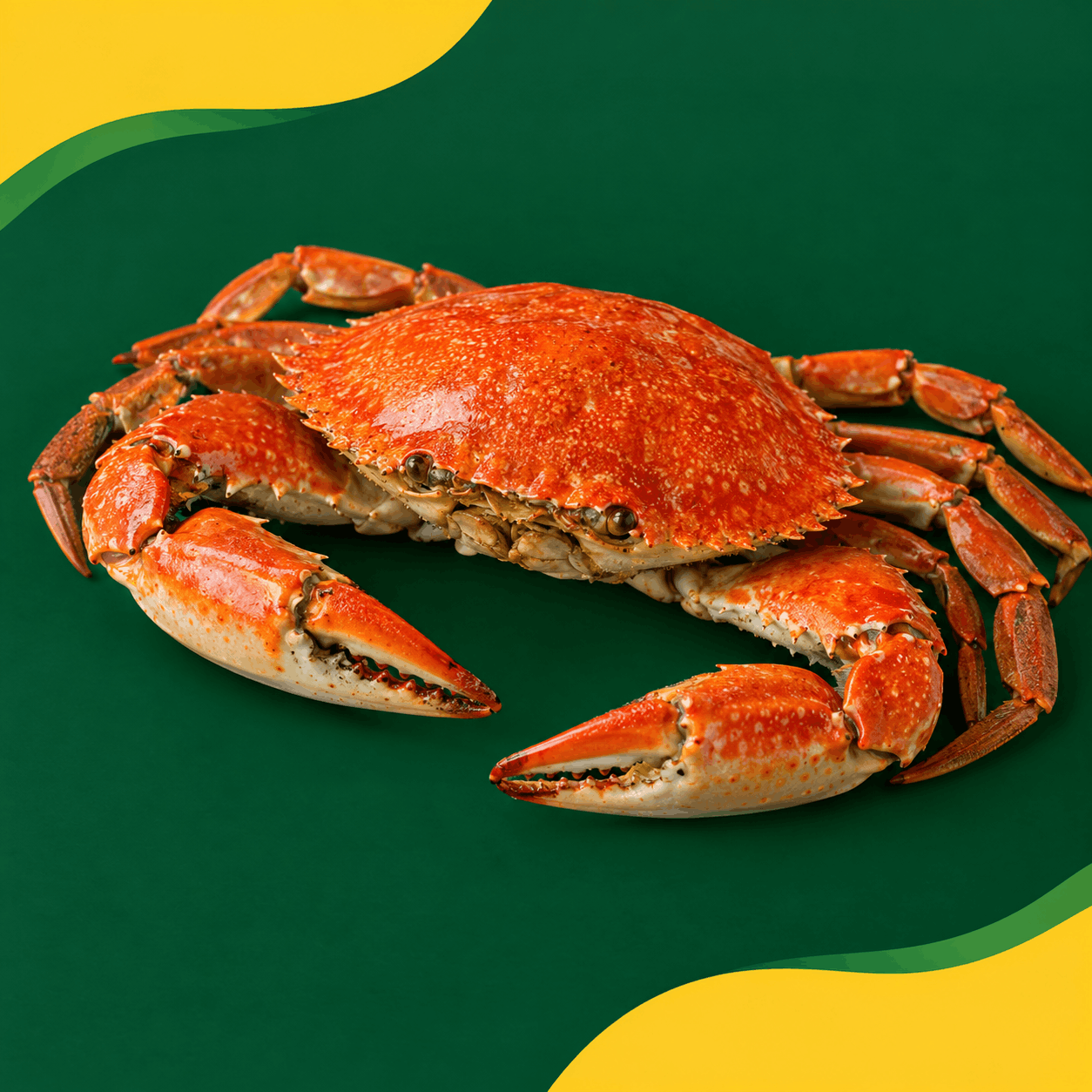 Crab