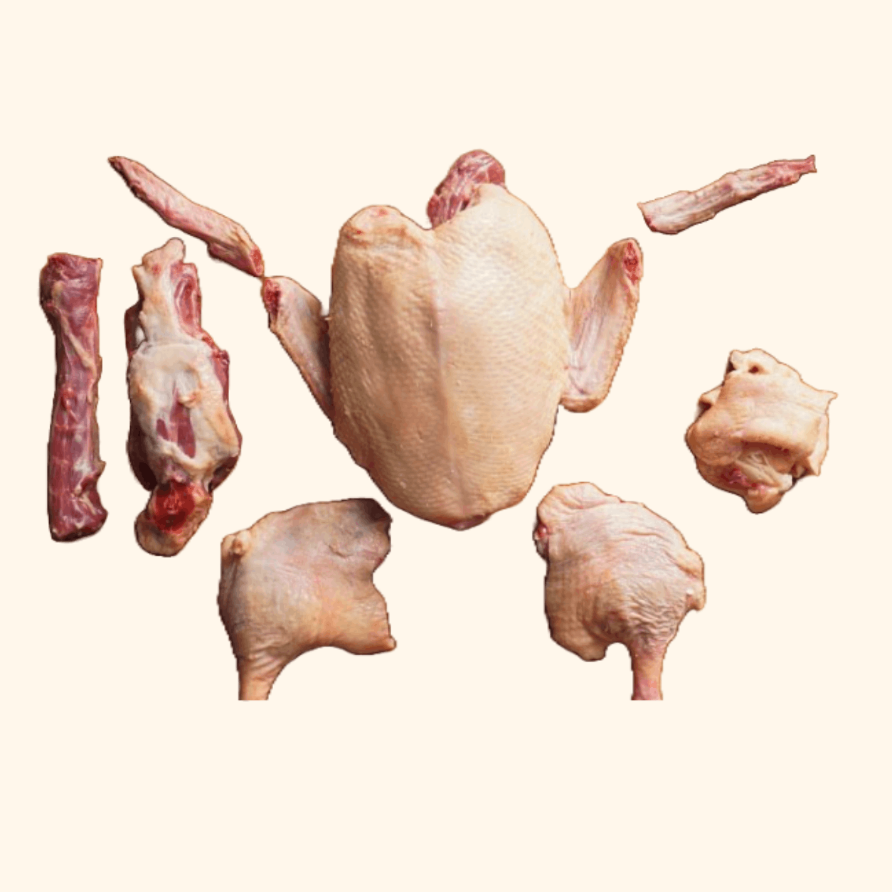 Duck
